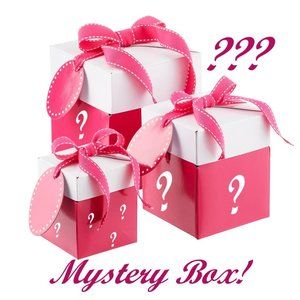 Tops Shirts Blouses Mystery Box 10 NWT Items.